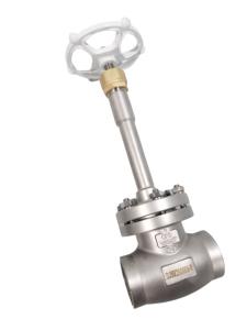 China PN40 SS304 SS316 Cryogenic Socket Weld Globe Valve Liquid Nitrogen factory