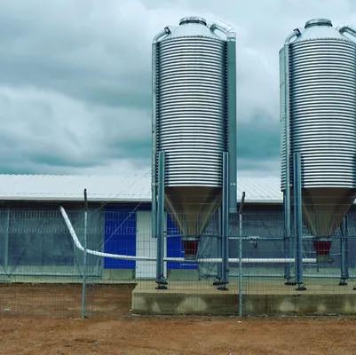 50MM Light Steel Poultry House Farm Sheds Poultry Pre Built Chicken Coops Custom