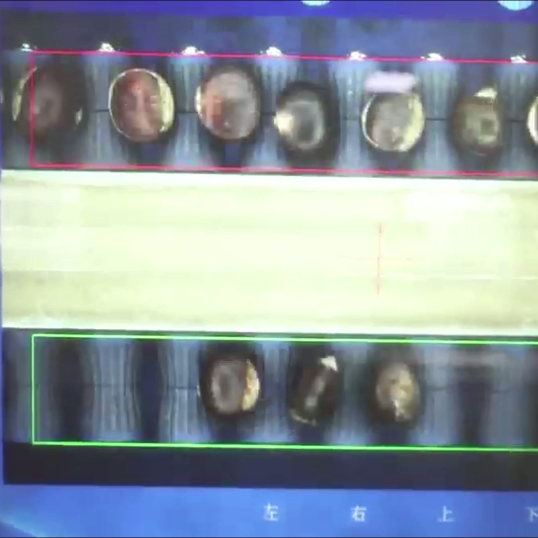 Labor Saving 3.3 Tons per Hour Chestnut Sorting Machine with Deep learning