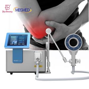 China Professional Pemf Therapy Magneto Equines Pmst Loop Portable Magnetotherapy Pemf Therapy Machine for Horses factory
