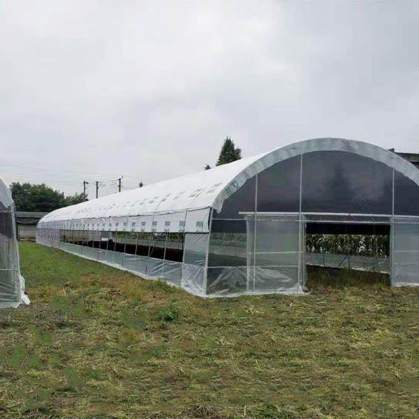 China Custom Blackout Light Deprivation Greenhouse with Automated Shading System for Mushroom factory