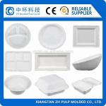 Clamshell Food Packing Container Making Machine 20t Paper Tray Forming