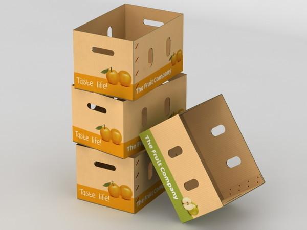 Corrugated Cardboard Carton Boxes For Fruit & Vegetables