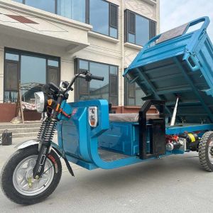 3 Wheel Cargo Three Wheeler Delivery Van Agricultural 50KM/H