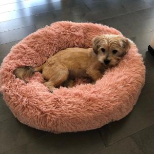 China Fluffy Brown Pink Anti Anxiety Dog Bed 50cm 60cm 70cm Diameter Dog Mattress Bed Calming Dog Bed Donut Cat Bed factory