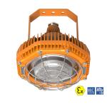 30W 45W 60W LED Explosion Proof Flood Light Flameproof lamp Ex Forest Frog