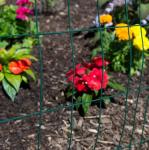 Direct wholesale great standard Anping 1/2 inch Chicken Wire Fence Green pvc