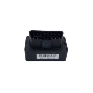 China D09 4G Cat1 2G Compatible Voice Control OBD OBD2 GPS Tracker &amp; Positioning Terminal with G-Sensor for 9 to 36V Vehicles factory