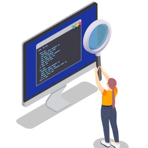 Flexible E Commerce Platform Development User Friendly API Development