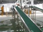 Stainless Steel Belt Conveyor