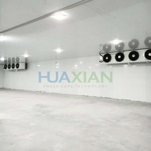 China 0 Celcius Walk in Freezer Chiller/Cool/Cold Storage Room Warehouse for Fresh Onion/Potato/Fruit/Vegetab factory