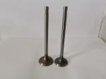 3489-EC Exhaust Valve Audi / passat / golf 1.8 20v Turbo Agu 97 / Und