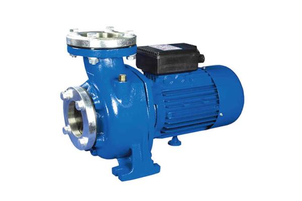 High Flow Rates Centrifugal Water Pump 1 HP 0.75 KW For Agriculture / Swimming