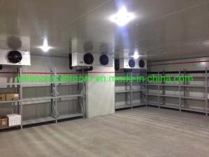 China 5 Ton Walk-in Solar Powered Cold Storage Room Door Lock Equipment and Cold Room Panel factory