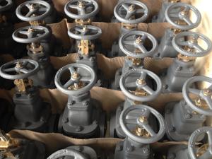 China 702-F (JIS) Cast Iron Gate Valve NRS factory