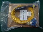 1310nm MTP MPO ZGT Female Fiber Elite Cable Assembly