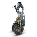 3 Wheel Folding Long Range Electric Trike CE Certificate DC Brushless Controller