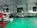 22kw Mesh Belt Tunnel Freezer 2800kg/H Iqf Blast Freezert Freezer OEM