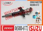 Diesel Fuel Injector 065000-6172 095000-6173 095000-6990 095000-6991 8-98055863