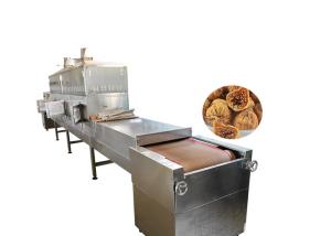 China Fig Conveyor Belt Food Sterilization Equipment Speed Adjustable Stainless Steel factory