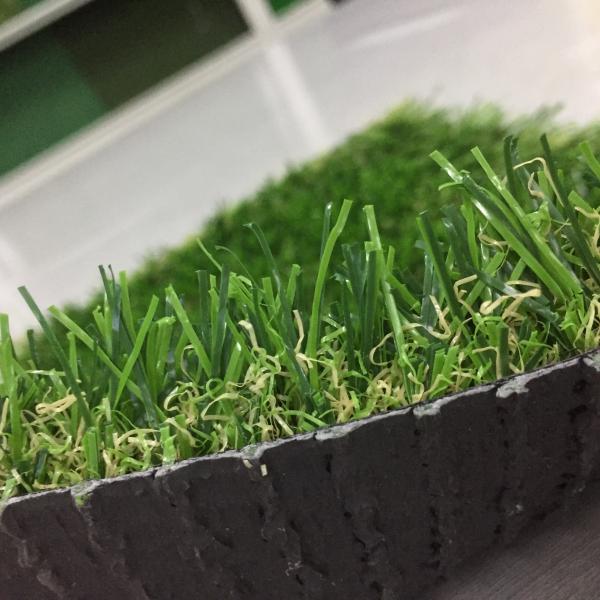 China Beautiful 25mm Artificial Grass Front Garden Decoration Intense Usage factory