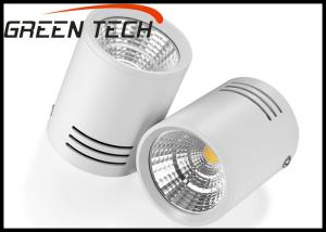 China High Power COB LED Down Light For Mall Lighting 110V 30W 100lm/w factory