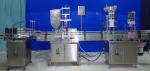 Automatic 100-1000ml 2 Heads Shampoo Bottle Filling Machine