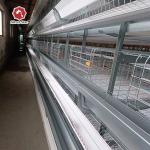 H Type Layer Chicken Laying Cage Automatic Poultry Equipment Hens Battery Cage