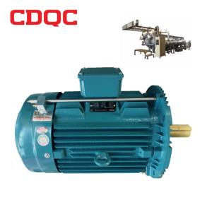 China Professional Electric Industrial Induction Motor Three Phase Dyeing Ac Motor factory