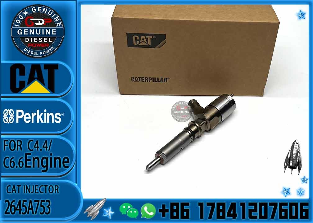 Diesel Fuel Injector 2645A753 2645A746 2645A749 2645A747 10R-7671 10R-7672 2645A718