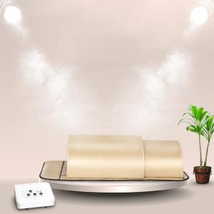 China Home Spa Personal Red Light Infrared Sauna Dome Therapy Bed Portable 180x80 factory