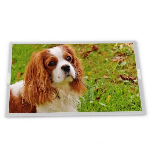 China 6.2 Inch Lcd Panel 640*240 Screen Displays Lcd Screen Module TCG062HVLDA-G20 factory