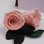 Wholesale Preserved Fresh Dried Flowers Dark Blue Roses for Arrangement