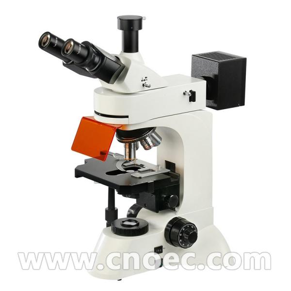 China Trinocular Infinity Plan Fluorescence Microscope 40x - 1000x A16.0207 factory