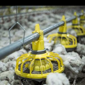China 1.1kw Automatic Chicken Feeders And Waterers 450kg/H Delivery factory