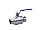 AISI Bpe Stainless Steel Ball Valve With Viton Seats