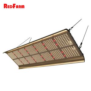 China High Lumen Hydroponics 330W G2 Quantum Board LED Grow Lights factory