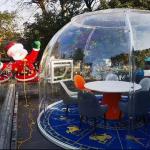 Pc Star Room Hotel Restaurant Transparent Bubble Room Outdoor Sun Room