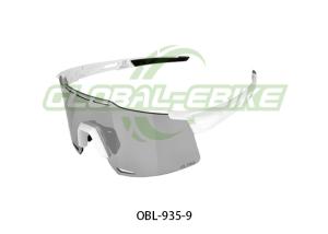 China UV Protection AR PRO Mountain Bike Glasses With Interchangeable Lenses factory