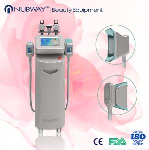 China New 2014 machine cryotherapy cryolipolysis slimming machine factory