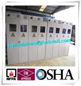 China Fire Resistance Gas Cylinder Storage Cabinet , Industrial Safety Cabinets For Cylinders factory