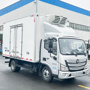 Versatile FOTON 4X2 Refrigerated Truck for Vegetable and Fruit Transport Maximum