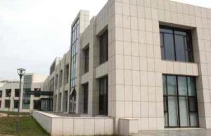 China Excellent Thermal Insulation Stone Curtain Wall Modern Design Style and Customizable factory