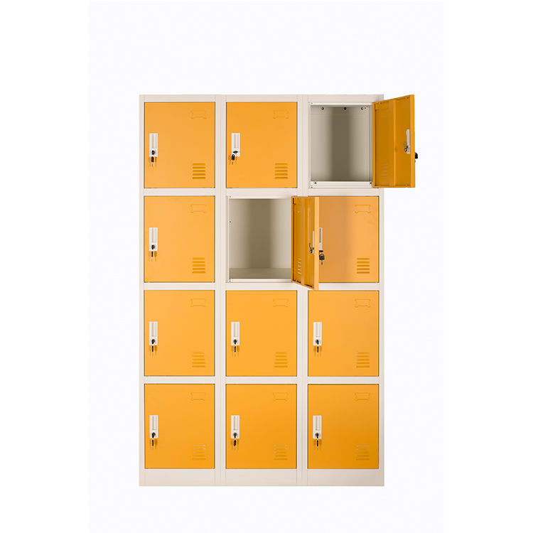 12 Doors Luggage Storage Locker For School Office