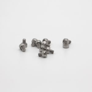 Alloy Steel Nickle Plated Precision Micro Screw Pan Head Machine Screw For House