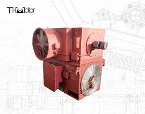 China 6KV 10KV Three Phase Induction Wound Rotor Synchronous Motor IP44 factory