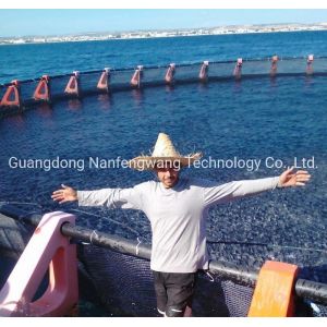 Black and Yellow Nanfengwang Aquaculture Cage Anti-Wave Design for Deep Sea Fish