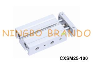 China SMC Type CXSM25-100 Double Rod Air Cylinder Pneumatic 25mm Bore factory