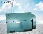 Y900 High Voltage Electric Motors For Mining Industry 10kv 50hz
