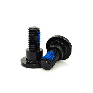 Black Zinc Plated Torx TR40 Security Screw – Anti-Tamper Pin & Nylon Precoat